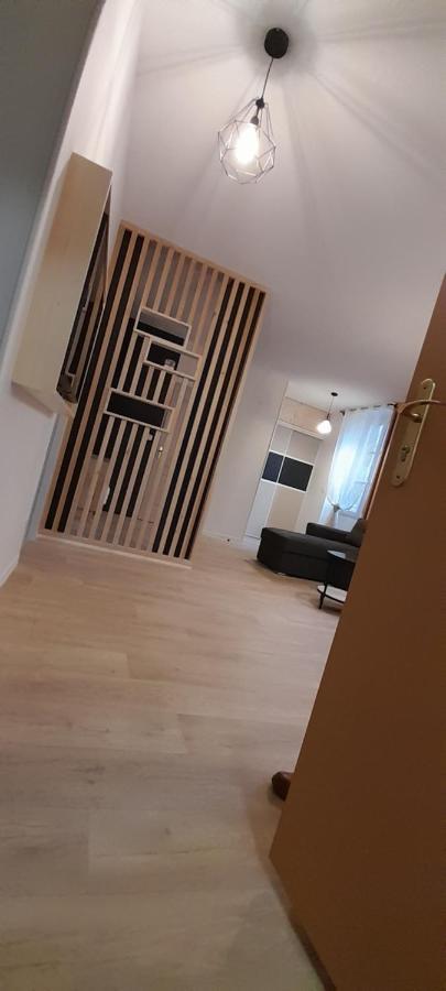 Tres Bel Appartement T3 Hyper Centre Entierement Renove En 2022 Люс-Сен-Совер Екстериор снимка