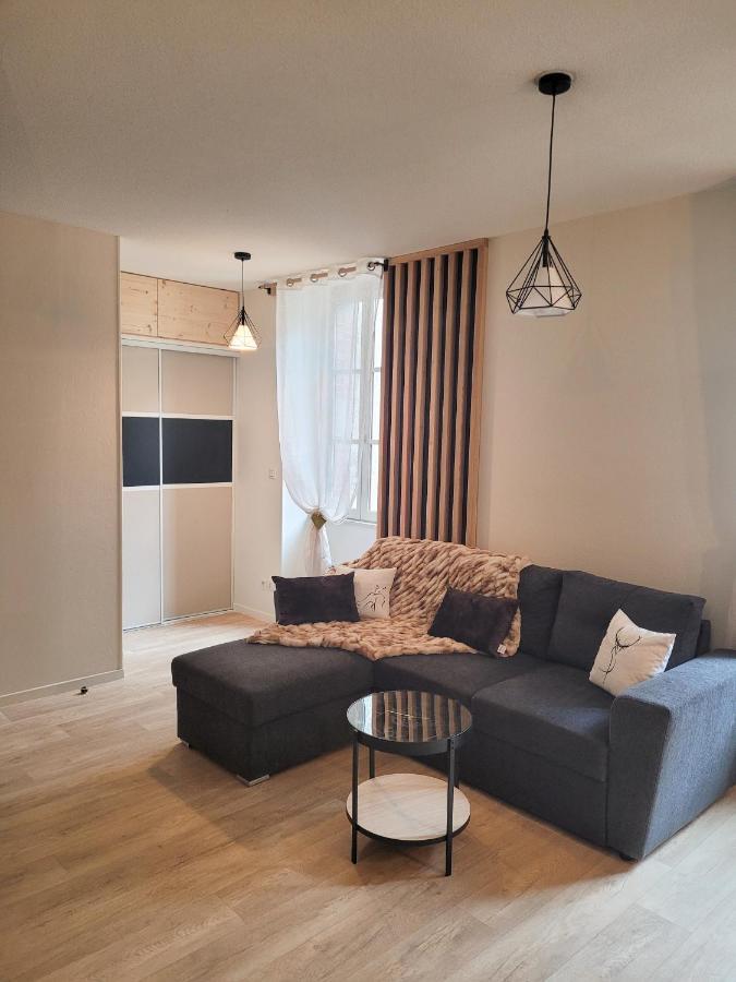 Tres Bel Appartement T3 Hyper Centre Entierement Renove En 2022 Люс-Сен-Совер Екстериор снимка